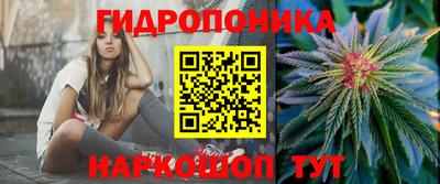 спайс Гусь-Хрустальный