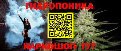 спайс Гусь-Хрустальный
