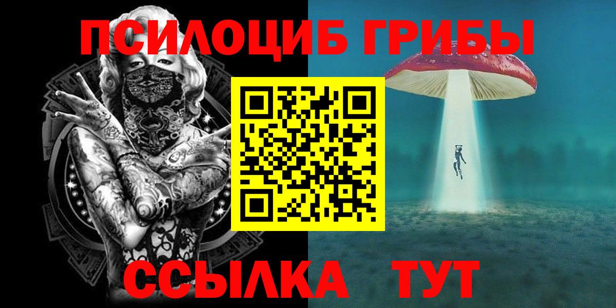 Вятские Поляны  Псилоцибиновые грибы MAGIC MUSHROOMS  Вход с VPN 